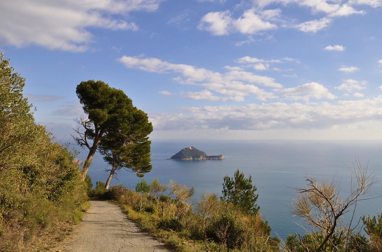 Vista panoramica delle spiagge cristalline dell'Isola d'Elba, con scogliere e vegetazione mediterranea.
